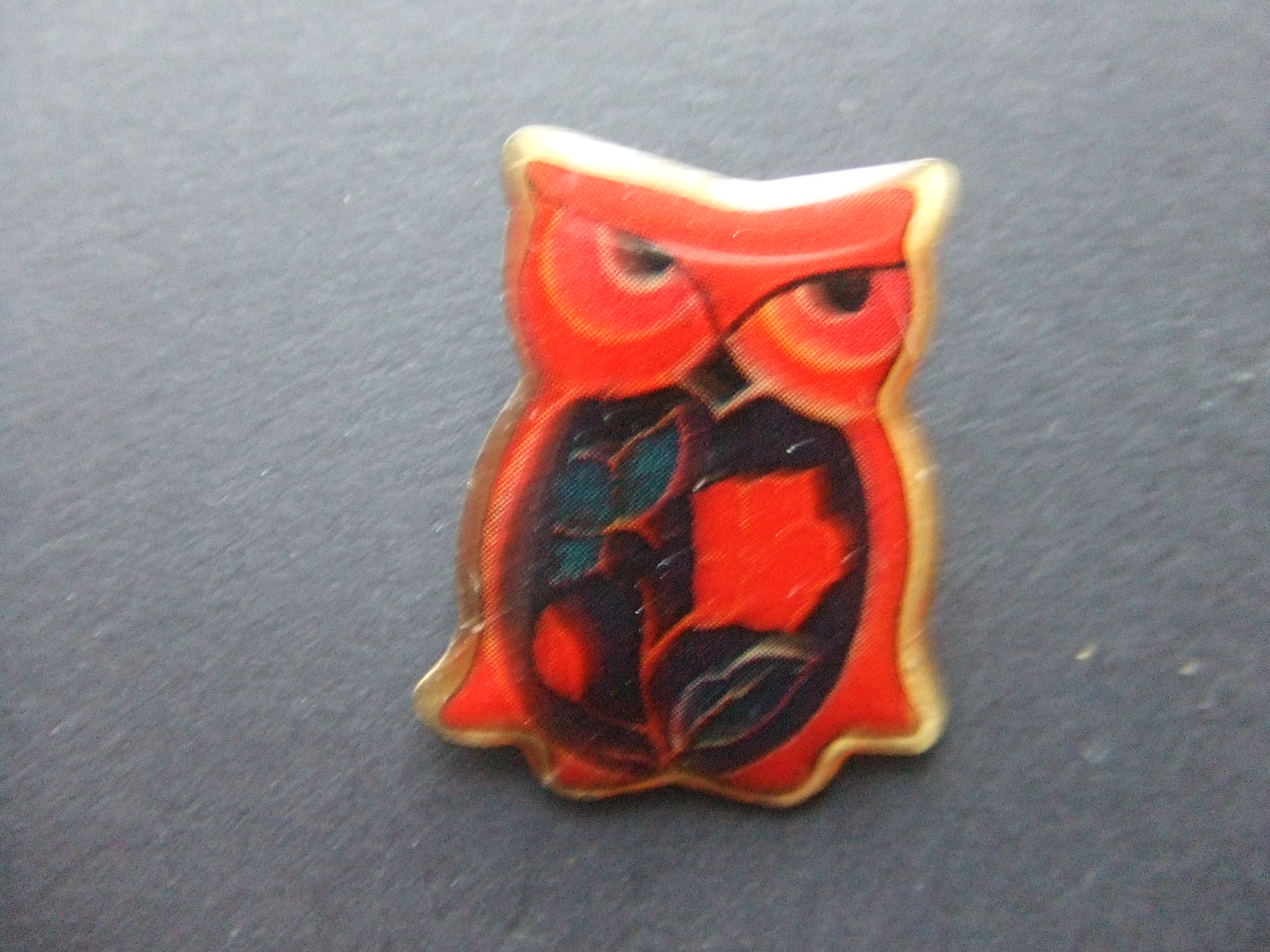 Uil roofvogel nachtdier